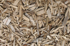 biomass boilers Abertrinant
